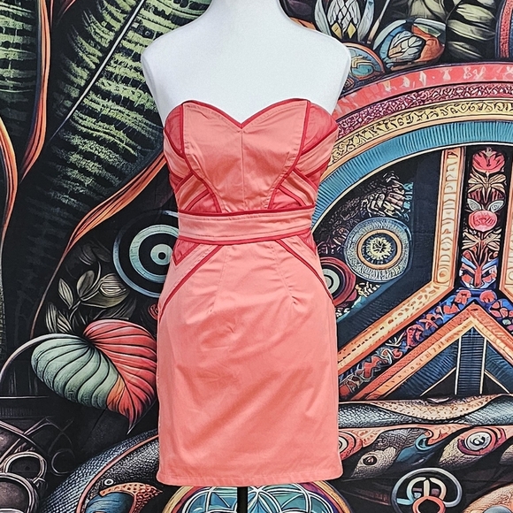 MINUET | MESH DETAILED BOMBSHELL BUSTIER MINI DRESS - Picture 9 of 16